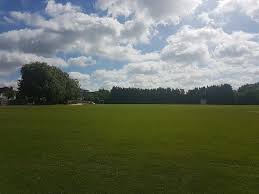 Image result for Crofton Albion Sports & Social Club