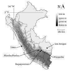 Attēlu rezultāti vaicājumam “Diderma effusum young”