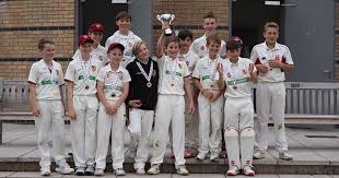 Image result for South Wilts Cricket Club