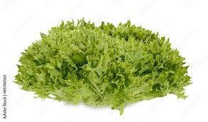 Image result for Kopfsalat