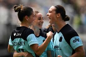 Image result for Gotham Soccer League