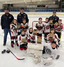 Image result for Demons Skater Hockey Club