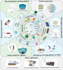 Image result for Kamal Orlando Ibrahim