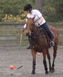Image result for Reading University Riding Club