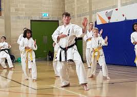 Image result for Seiki Juku Karate Club