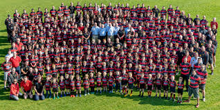 Image result for Wymondham Rugby Union Football Club