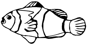 images?qtbnANd9GcSWbRDj3PA0wIP2BkdUbVdaj4kMLgdUIanU2 uPwjFBzk89G5iK