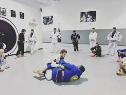 Image result for Derwent Valley Ju-Jitsu Academy
