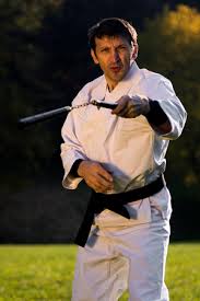 Image result for Guerrero Martial Arts