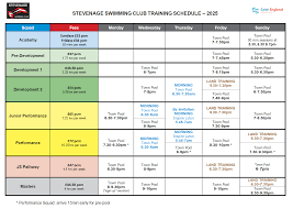 Image result for Stevenage Swimming Club