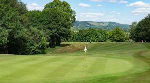 Image result for Betchworth Park Golf Club