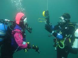 Image result for York University Sub Aqua Club