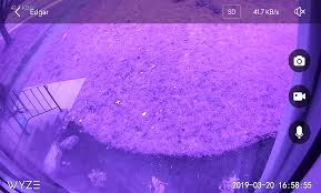 Image result for purple camera