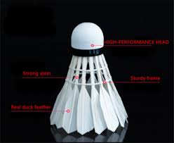 Image result for Feathers Badminton- Leatherhead