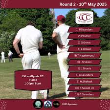 Image result for Chiddingly Cricket Club