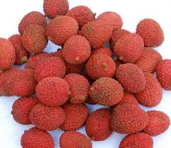 Image result for Litchi chinensis