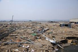 Image result for 耐震 大津波無力