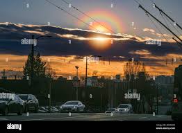 Attēlu rezultāti vaicājumam “pollen corona”