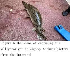 Image result for Garstang A S C