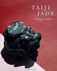 Αποτέλεσμα εικόνας για jade dragon turtle