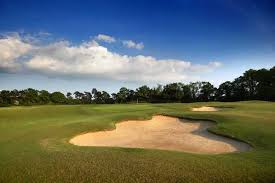 Image result for Aldwickbury Park Golf Club