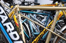 Image result for Angus Cycling Club
