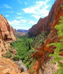 Image result for seotonie