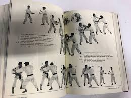 Image result for Harrow Shorinji Kempo