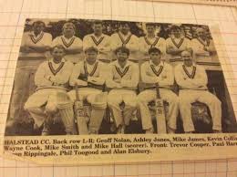 Image result for Halstead Colts Cricket Club