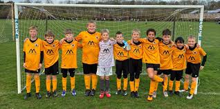 Image result for United in the Community - Boston Player Development Centres