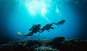 Image result for Blue Water Freediving School
