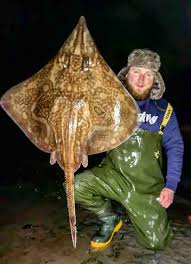 Image result for Bristol Channel Sea Fishing