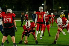 Image result for Birmingham University Lions