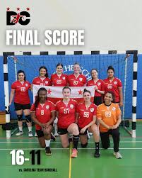 Image result for Deva Handball Club