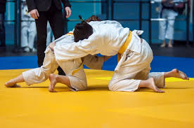 Image result for Newcastle under Lyme Sambo, Judo and Masac Ju Jitsu club