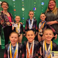 Image result for Haverfordwest Gymnastics Club
