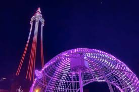 Image result for Blackpool Lights Basketball Club