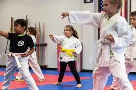Image result for Devines Martial Arts