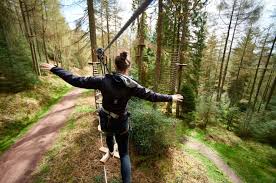 Image result for Go Ape! Thetford