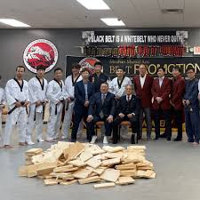 Image result for New Milton Taekwondo Club