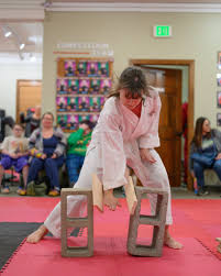 Image result for Windsor Higashi Karate Club