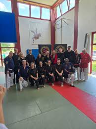 Image result for Reading World Ju-jitsu Club