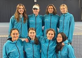 Image result for Herts & Essex Badminton Club