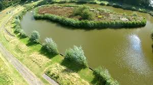 Image result for Guildford Angling Society