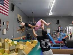 Image result for Tessaro Gymnastics Club