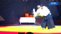 Image result for Ellis Schools of Traditional Aikido