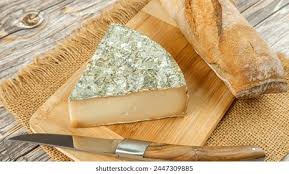 Image result for saint nectaire