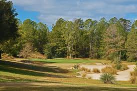 Image result for Wolds Gc