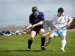 Image result for Skye Camanachd