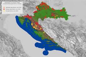Attēlu rezultāti vaicājumam “Coenonympha glycerion underside”